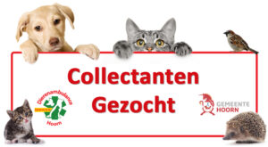 Lees meer over het artikel Collecte gemeente Hoorn 2020